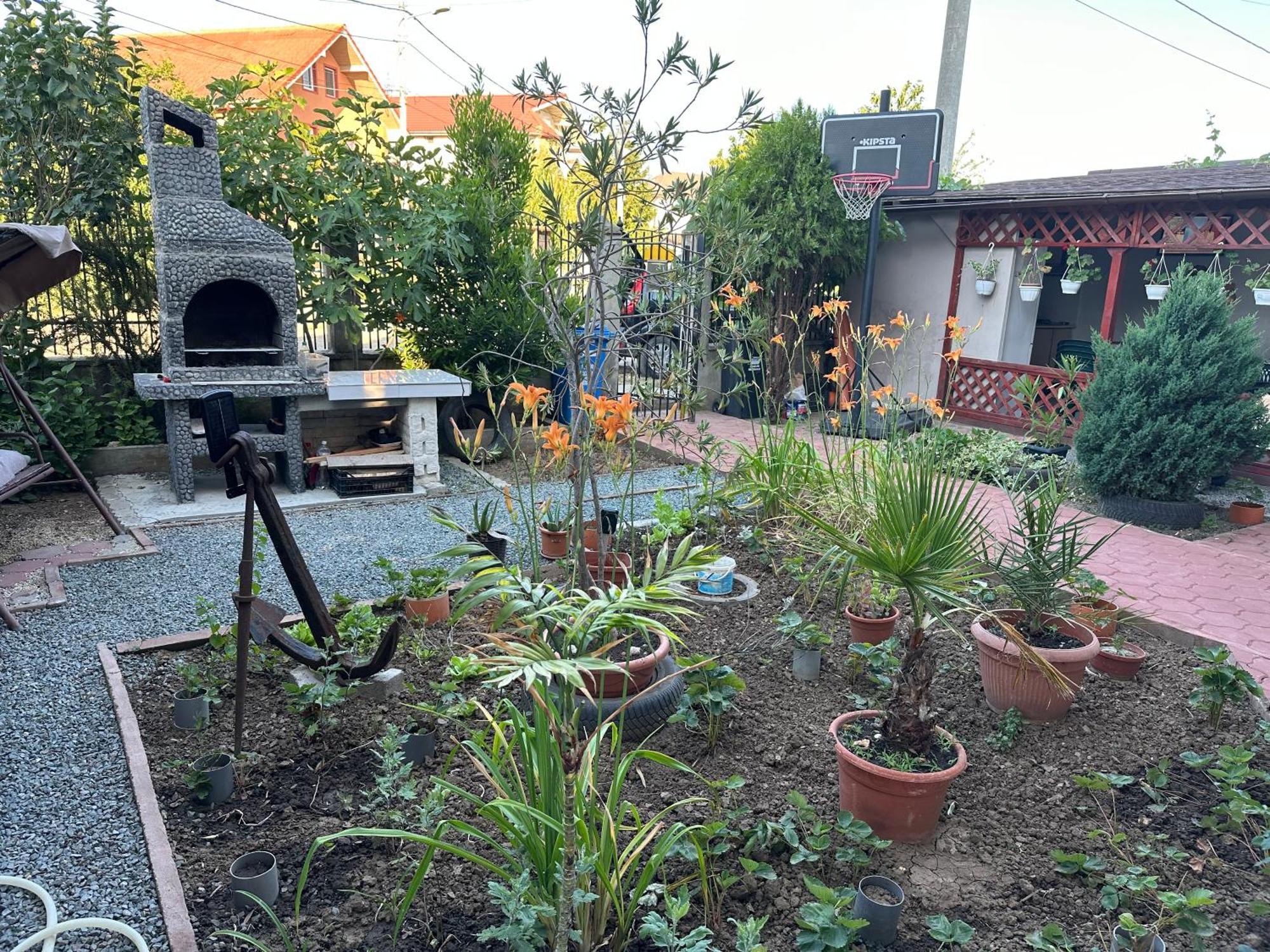 Casa Vio Parter Daire Eforie Nord Dış mekan fotoğraf